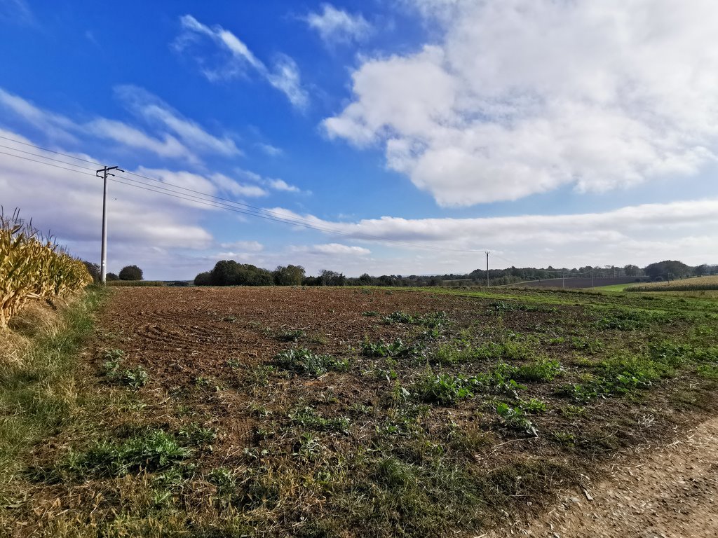 Działka pod dom w Sieteszy z mediami i dojazdem asfaltowym Sietesz  2 100m2 Foto 1