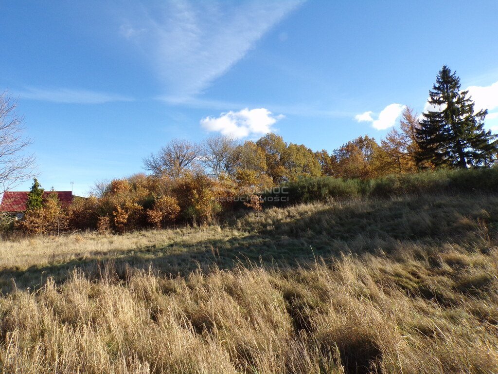 Działka budowlana na sprzedaż Wierzchocino  2 000m2 Foto 11