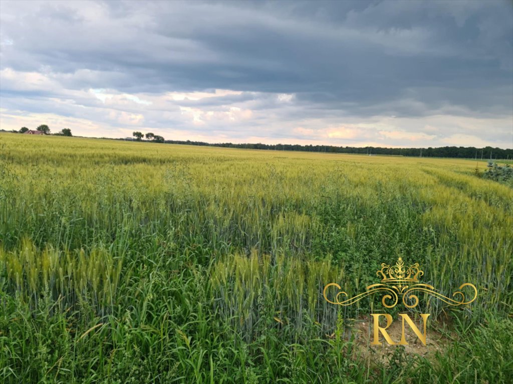 Działka budowlana na sprzedaż Sobieszczany-Kolonia  9 299m2 Foto 11