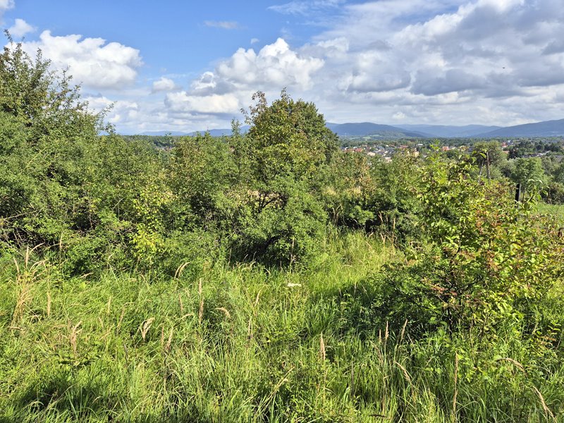 Działka budowlana na sprzedaż Skoczów  650m2 Foto 4