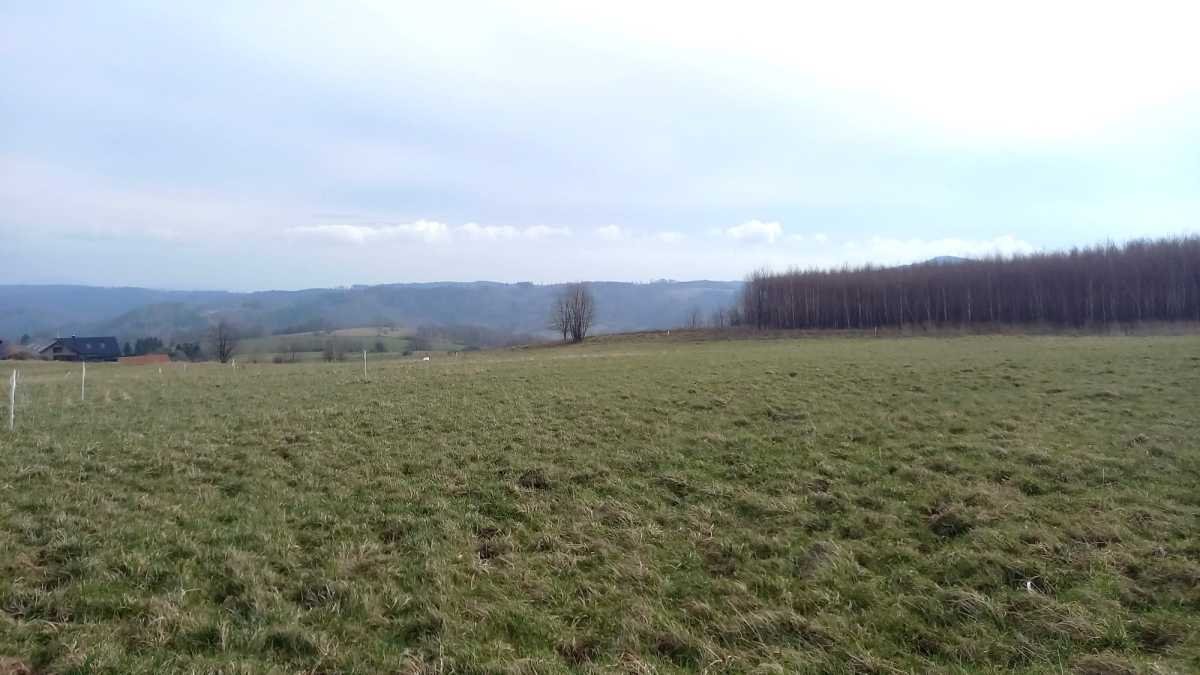 Działka budowlana z widokiem na Zamek Grodno, 1377 m2 Walim, Niedźwiedzica  1 377m2 Foto 1