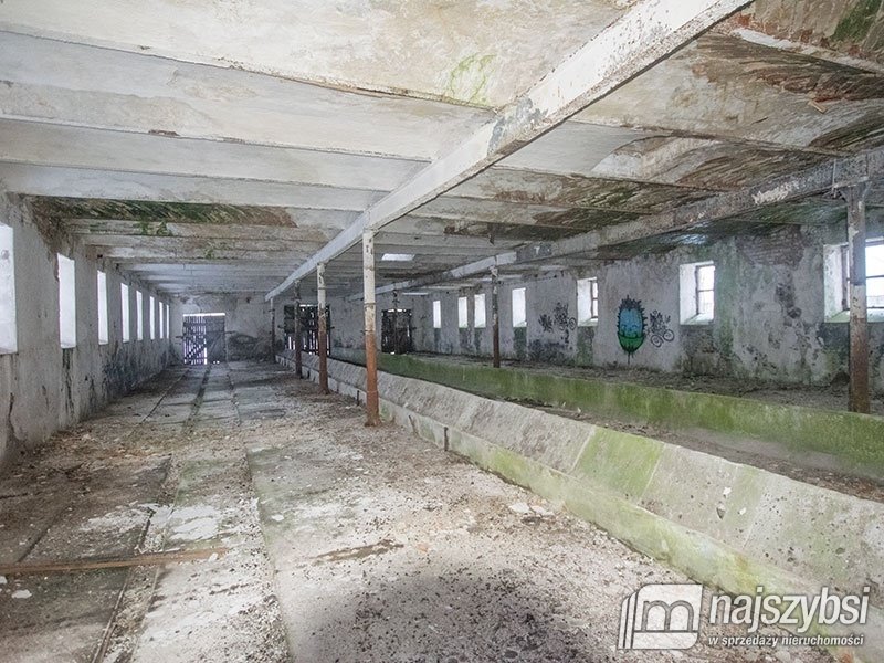 Lokal użytkowy na sprzedaż Storkowo, Centrum  3 670m2 Foto 17