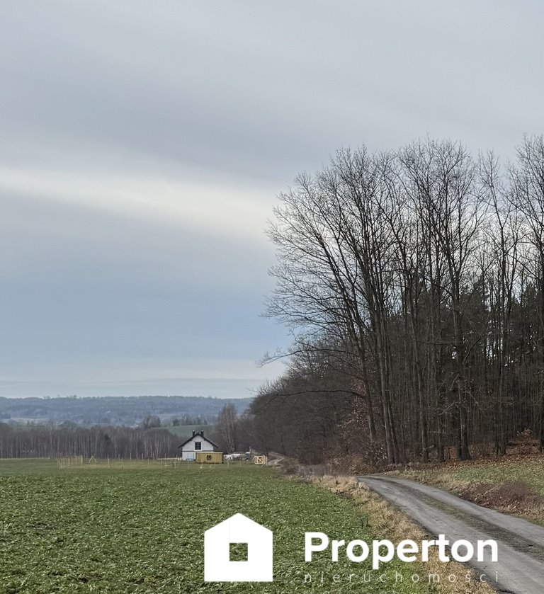 Działka budowlana na sprzedaż Kabikiejmy Dolne  1 725m2 Foto 9