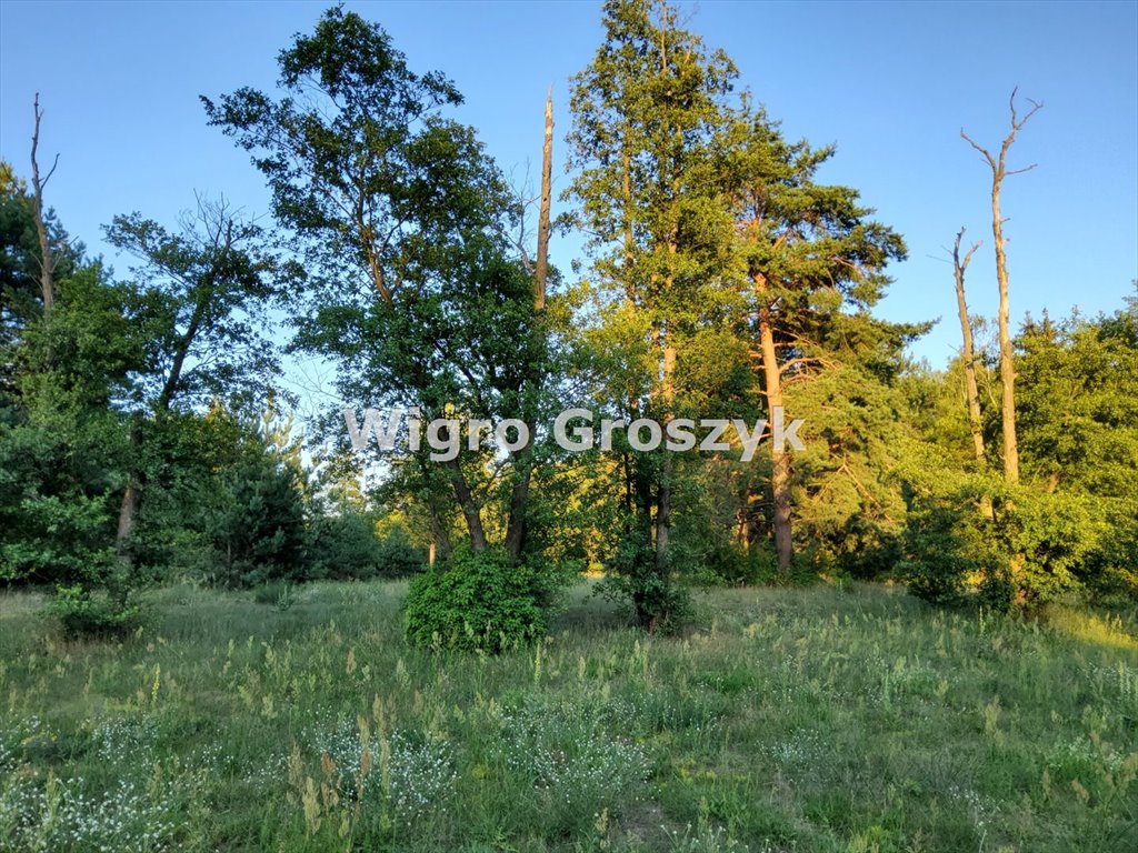 Działka budowlana na sprzedaż Pogorzelec  4 300m2 Foto 1