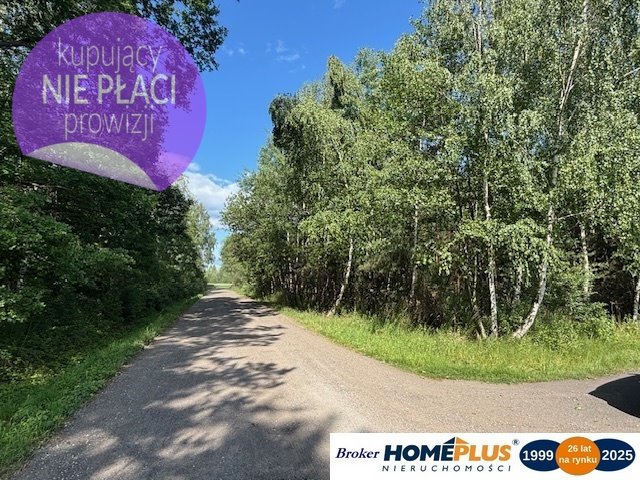 Działka rolna na sprzedaż Kury  10 330m2 Foto 1