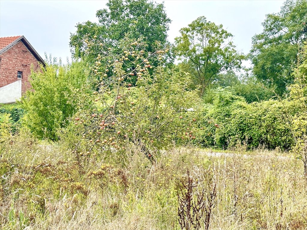 Dom na sprzedaż Niemcy, Penkun, Batthinstahl, Krackower Straße 2a  90m2 Foto 12