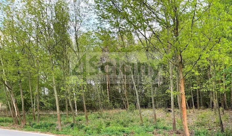 Działka 6 678 m² w Nadarzynie z MPZP - polecam! Nadarzyn  6 678m2 Foto 1