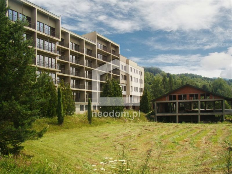 Działka inna na sprzedaż Szczawa 15 000m2 Foto 1 Działka inna na sprzedaż Szczawa 15 000m2 Foto 1