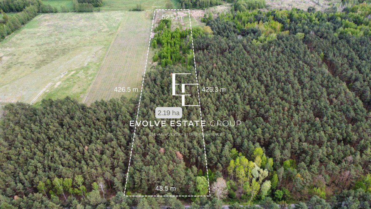 Działka gospodarstwo rolne na sprzedaż Czarny Las  21 900m2 Foto 1