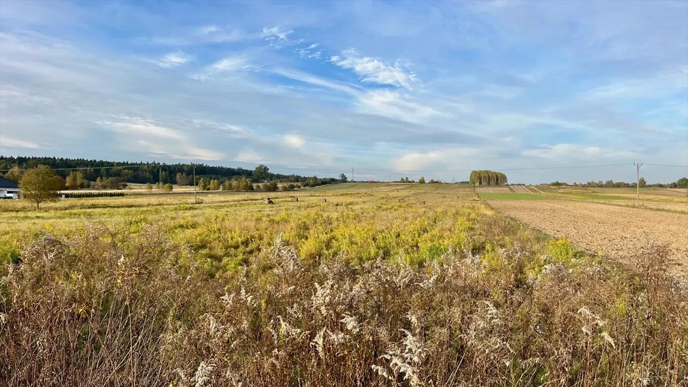 Działka budowlana na sprzedaż Suków, Dymińska 0  1 000m2 Foto 14