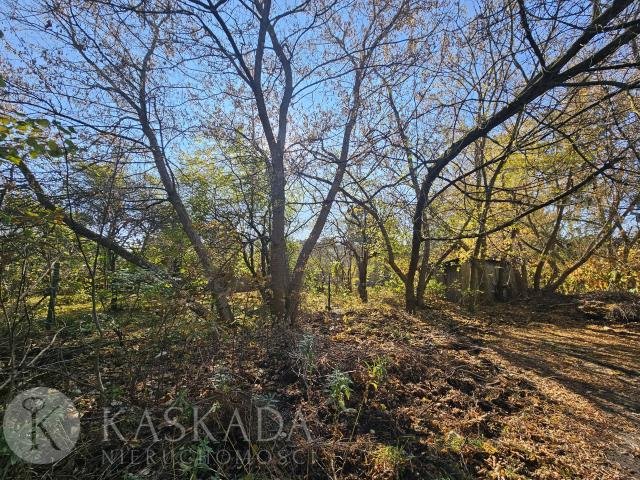 Atrakcyjna działka budowlana 2419 m² w Wawer, inwestycja Warszawa, Wawer, Rogatkowa  2 419m2 Foto 1