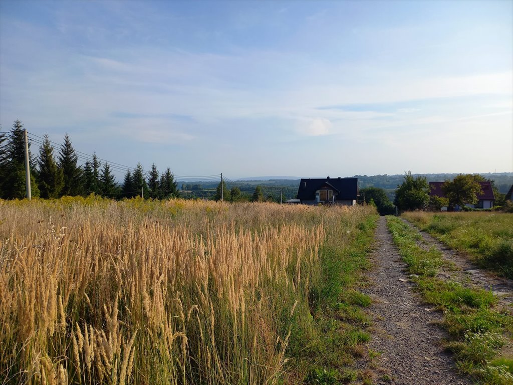 Działka budowlana na sprzedaż Świńczów  1 000m2 Foto 1