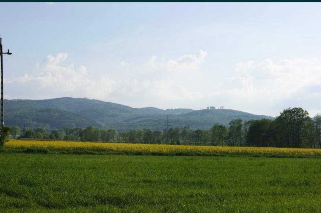 Działka inna na sprzedaż Pieszyce, Piskorzów  7 400m2 Foto 3