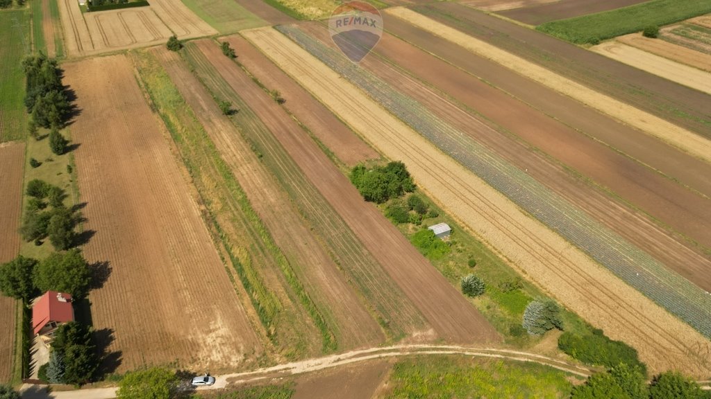 Działka budowlana na sprzedaż Krzysztoforzyce  5 500m2 Foto 9