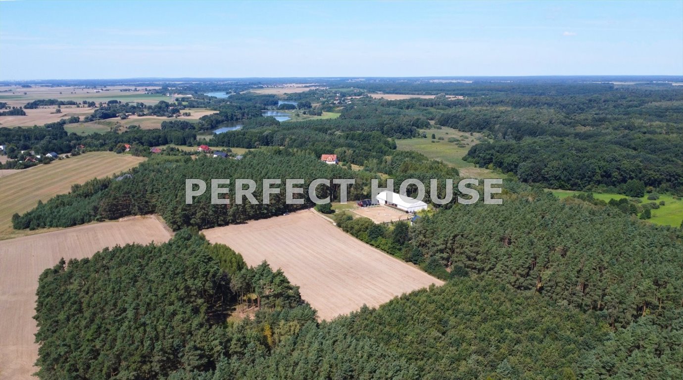 Działka 1,5 ha pod zabudowę w Parku Krajobrazowym Stara Górka  14 782m2 Foto 1