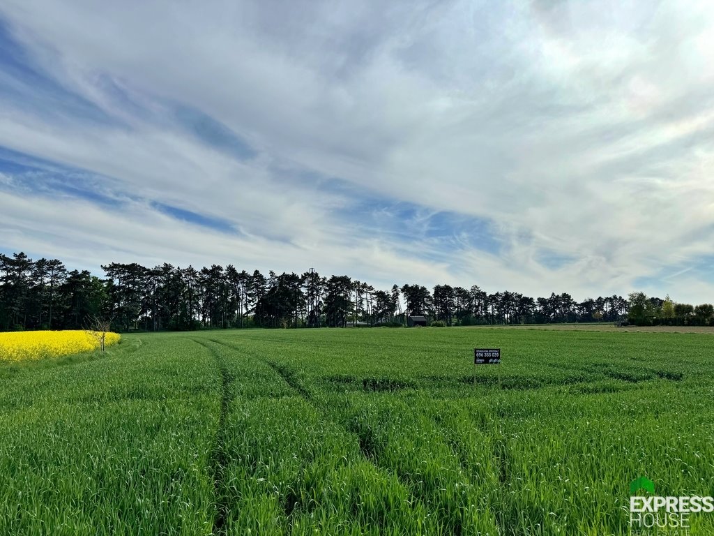 Działka komercyjna na sprzedaż Lublin, Węglin Południowy, Folwarczna  1 562m2 Foto 5