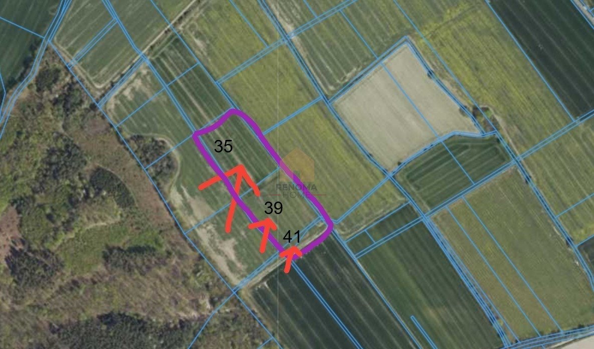 Działka rolna 45 400 m² pod lasem - możliwość przekształcenia Burkatów  45 400m2 Foto 1