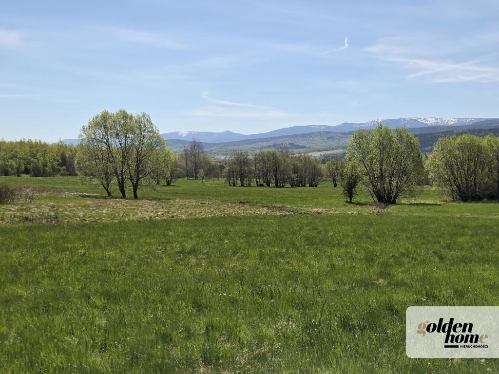 Działka 1340 m² z widokiem na Karkonosze i Izerów Grudza, Grudza/Kłopotnica  1 340m2 Foto 1
