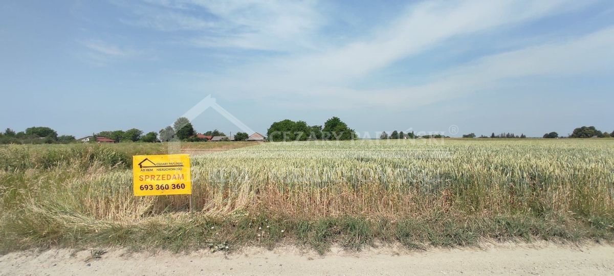 Działka budowlana na sprzedaż Kiełczewice Górne, Kiełczewice  7 000m2 Foto 14