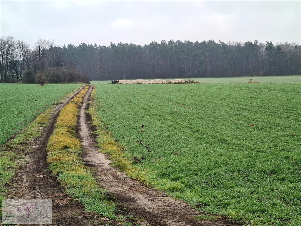 Działka budowlana na sprzedaż Gajówka, Gajówka  4 500m2 Foto 1