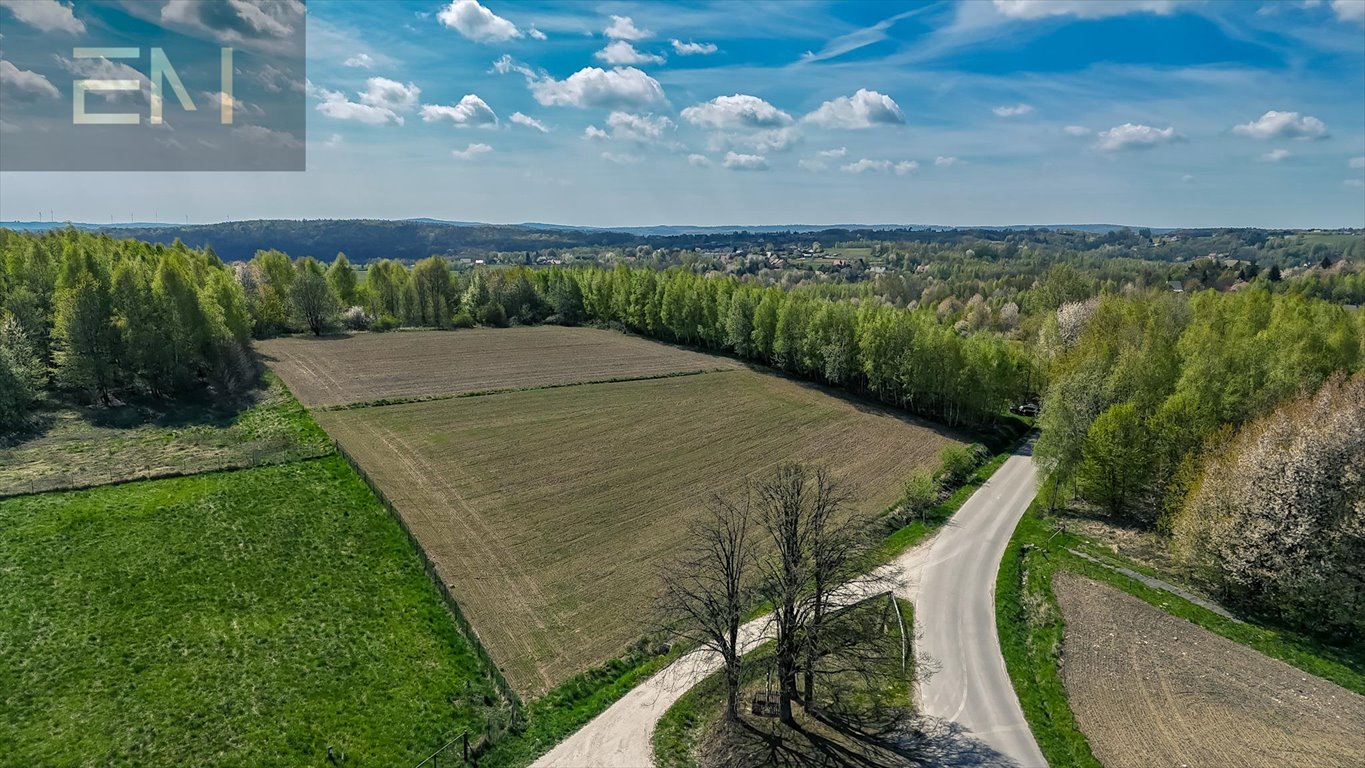 Sprzedam dwie działki 1765 m² z warunkami zabudowy w Tyczynie Tyczyn  1 765m2 Foto 1