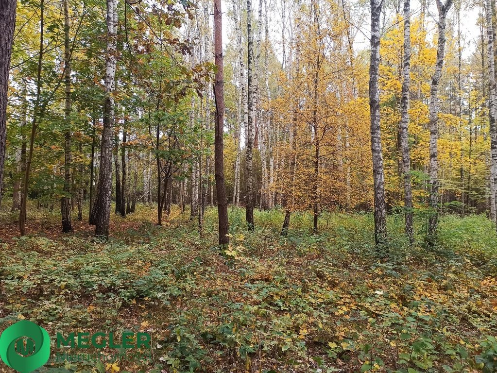 Działka leśna na sprzedaż Siestrzeń  11 293m2 Foto 3