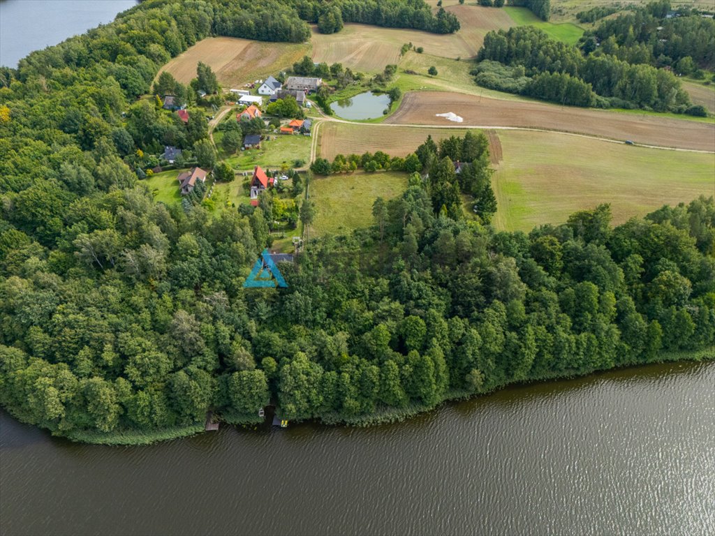 Zdjęcie 8