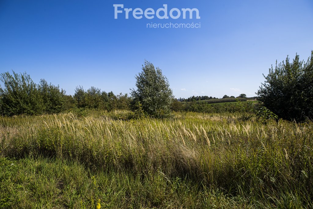 Działka budowlana na sprzedaż Kielanówka  5 500m2 Foto 5