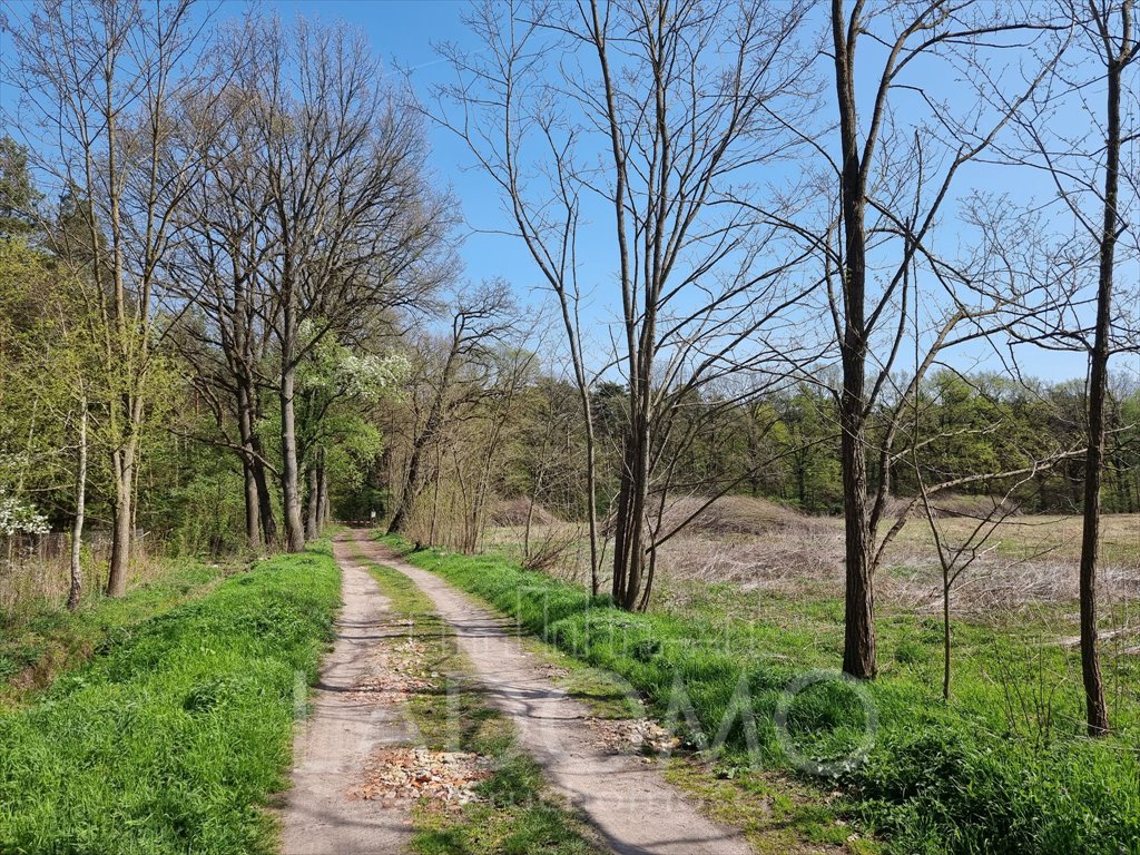 Działka budowlana na sprzedaż Łoś  1 500m2 Foto 6