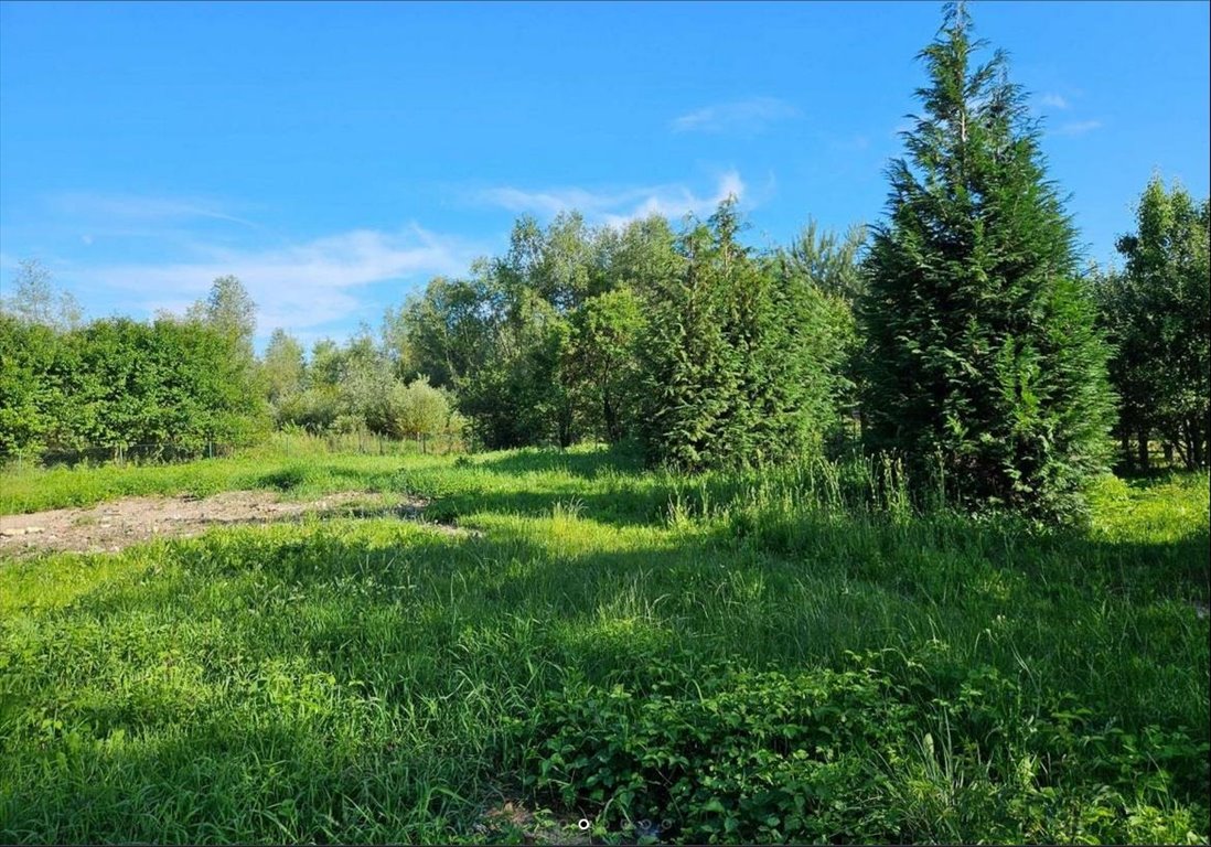 Działka budowlana na sprzedaż Tarnobrzeg, Wielowieś, al. Warszawska  1 098m2 Foto 4