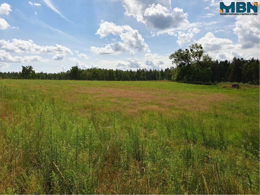 Działka budowlana na sprzedaż Jagodne Wielkie, Jagodne Wielkie  2 075m2 Foto 16