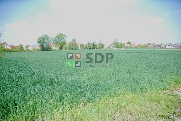 Działka budowlana na sprzedaż Rogów Sobócki 1 674m2 Foto 1 Działka budowlana na sprzedaż Rogów Sobócki 1 674m2 Foto 1