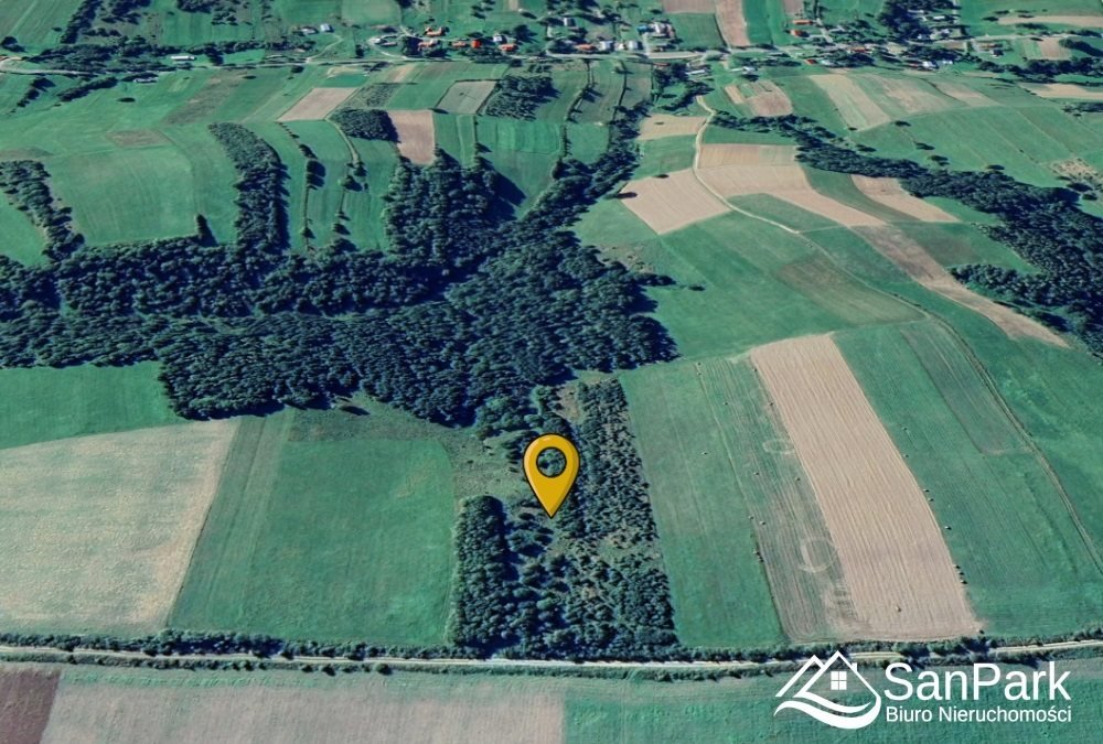 Sprzedam malowniczą działkę 2,89 ha z widokiem na Pogórze Bircza, Kuźmina  28 900m2 Foto 1
