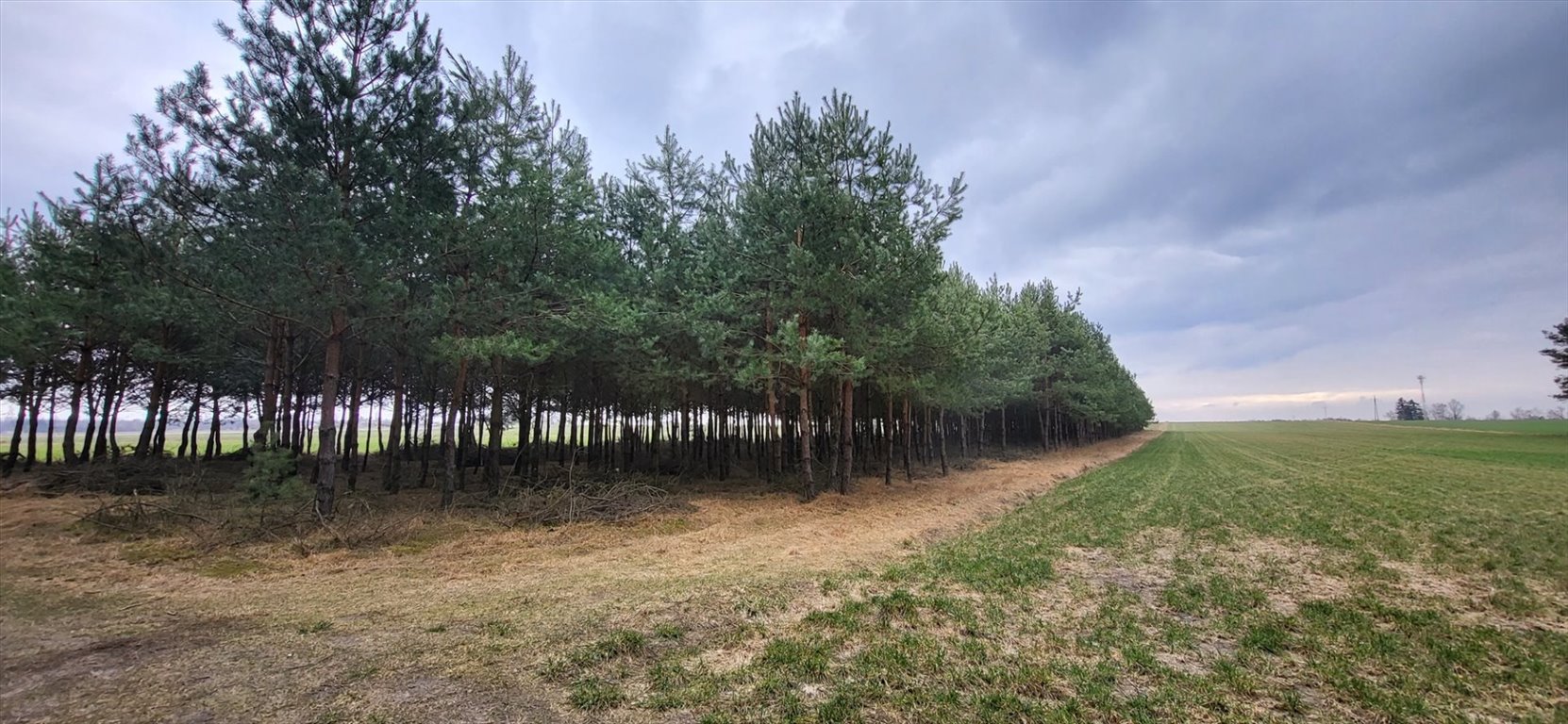Działka rolna z lasem 11 887 m², blisko Łodzi - polecam Lichawa  11 887m2 Foto 1