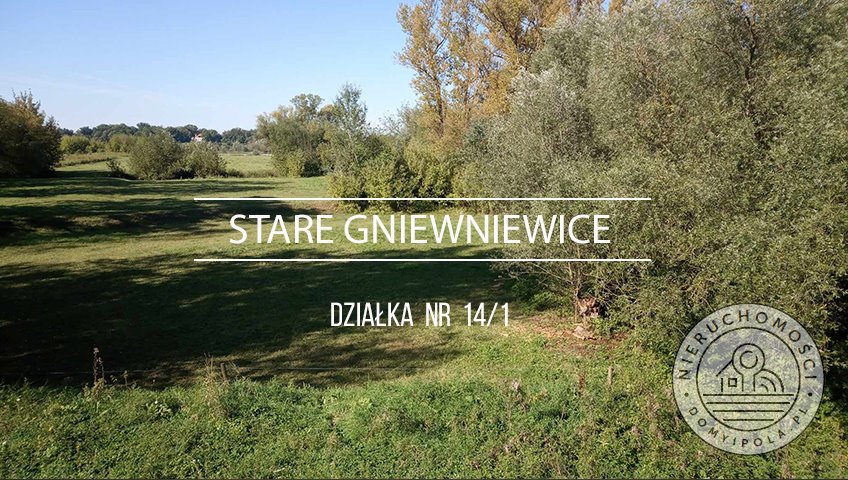 Działka rolna na sprzedaż Stare Gniewniewice  9 600m2 Foto 1