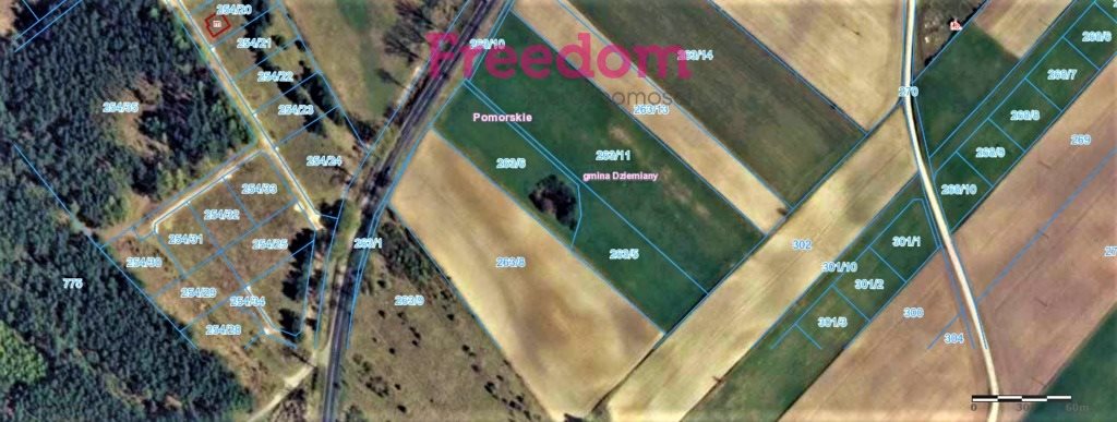 Działka siedliskowa na sprzedaż Dziemiany 3 500m2 Foto 1 Działka siedliskowa na sprzedaż Dziemiany 3 500m2 Foto 1