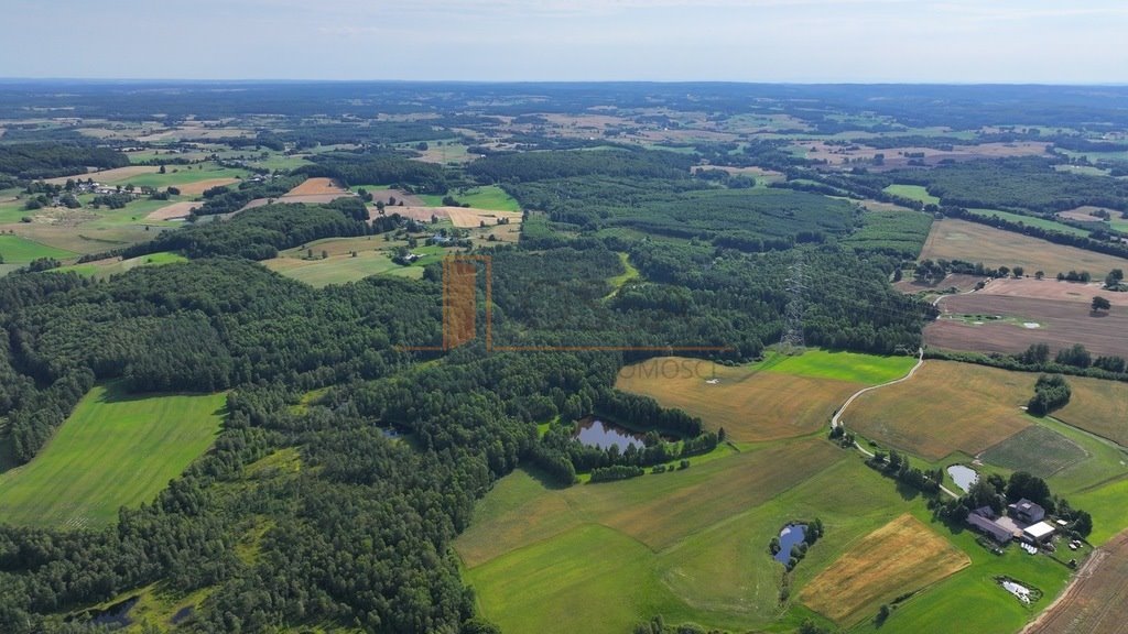 Działka siedliskowa na sprzedaż Grabowska Huta  16 780m2 Foto 7