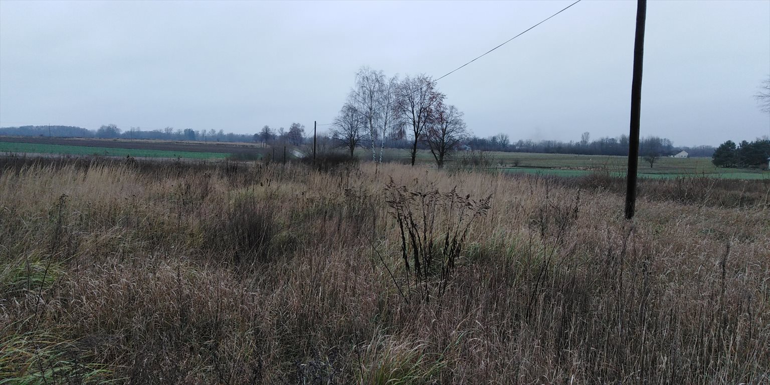 Zdjęcie 2