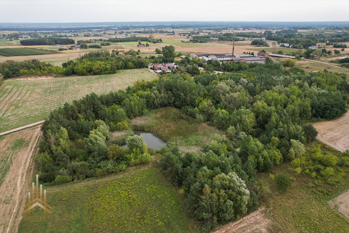 Działka inwestycyjna na sprzedaż Konstantynów  95 000m2 Foto 5