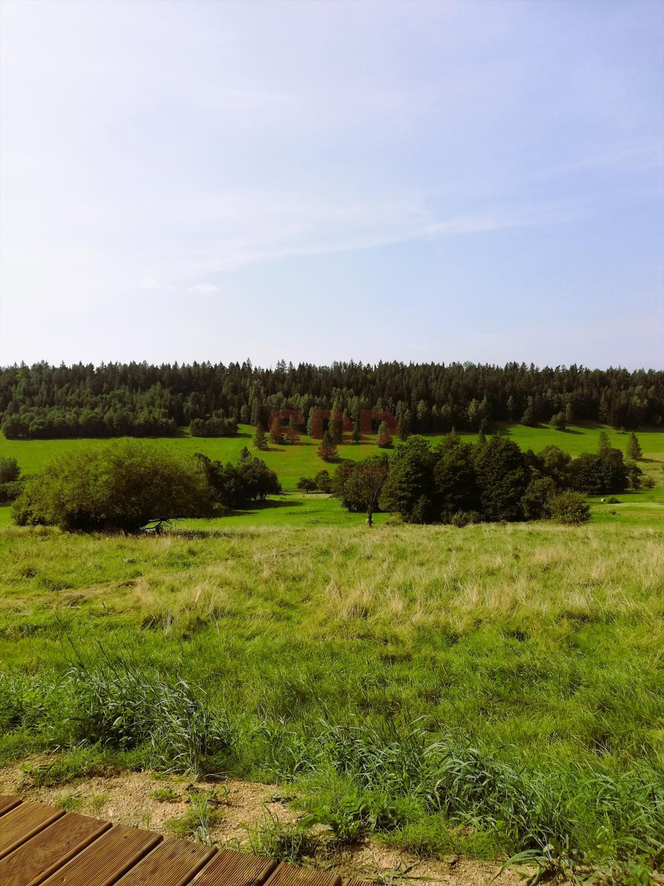 Działka budowlana na sprzedaż Czarna Góra  2 342m2 Foto 3