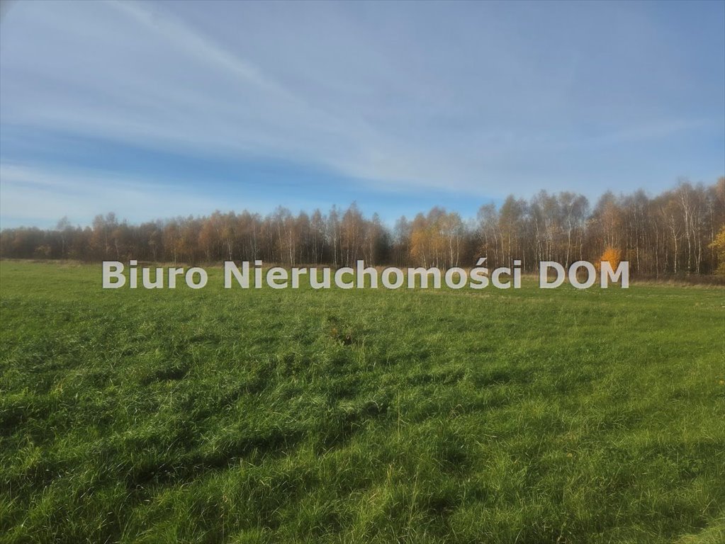 Działka leśna 11 319 m² pod inwestycję w Łochyni Łochynia  11 319m2 Foto 1