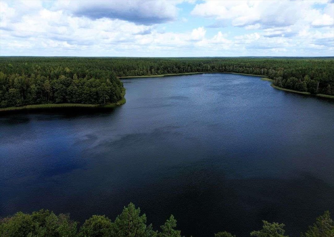 Działka rolna na sprzedaż Rekownica  3 002m2 Foto 13