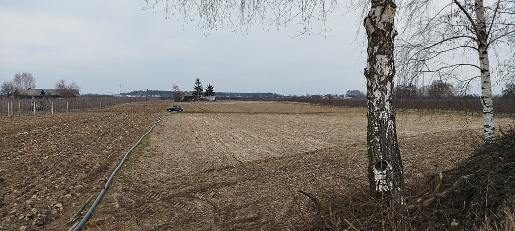 Działka budowlana na sprzedaż Śniadków Górny A  33 800m2 Foto 9