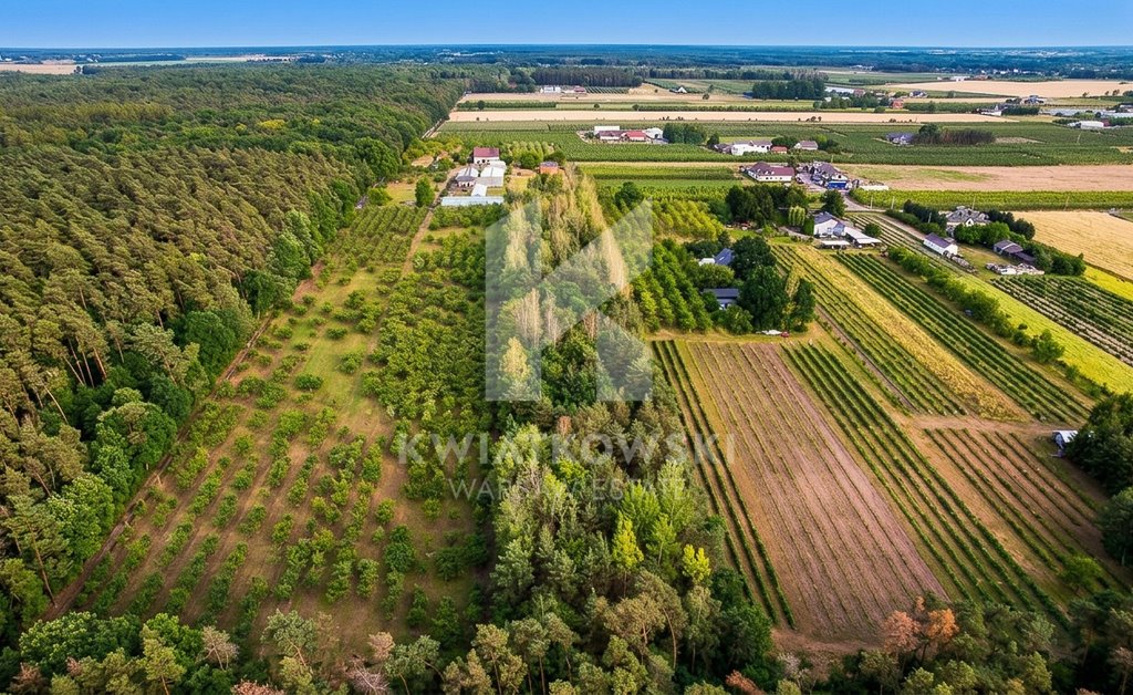 Działka 1,02 ha z domem i schronem w Michrowie Michrów  10 200m2 Foto 1