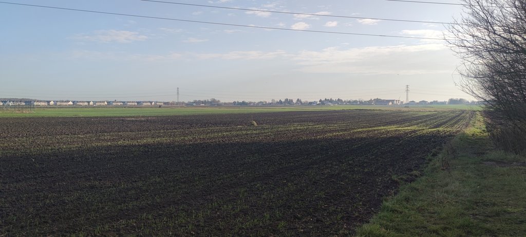 Działka budowlana na sprzedaż Stare Babice, Wieruchowska  3 950m2 Foto 3