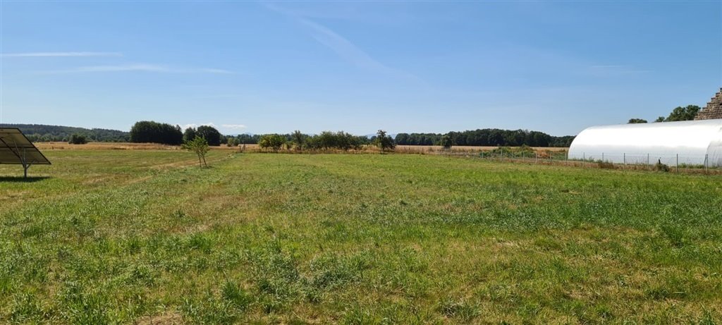 Działka 1500 m² z widokiem na las i góry w Skorzynicach Skorzynice  1 500m2 Foto 1