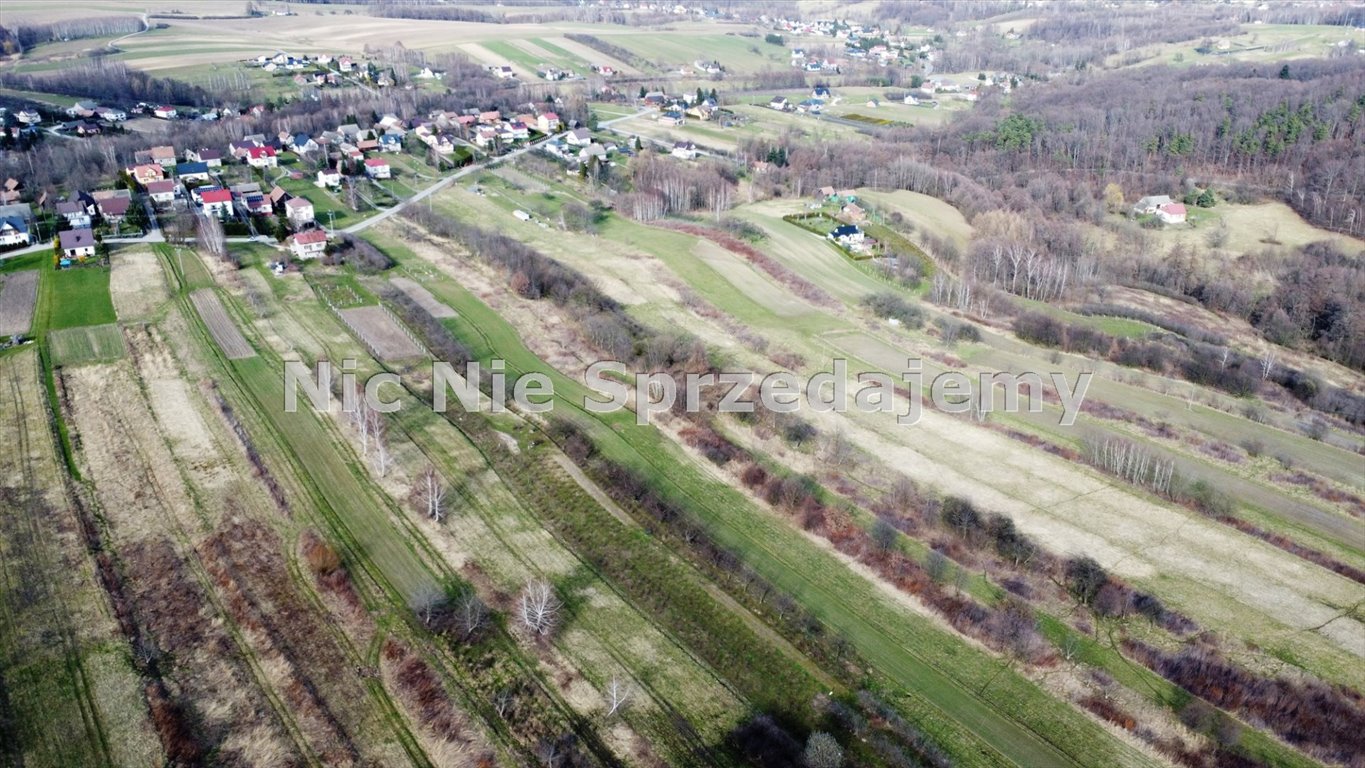 Działka rolna na sprzedaż Dębno, Łysa Góra  7 000m2 Foto 3