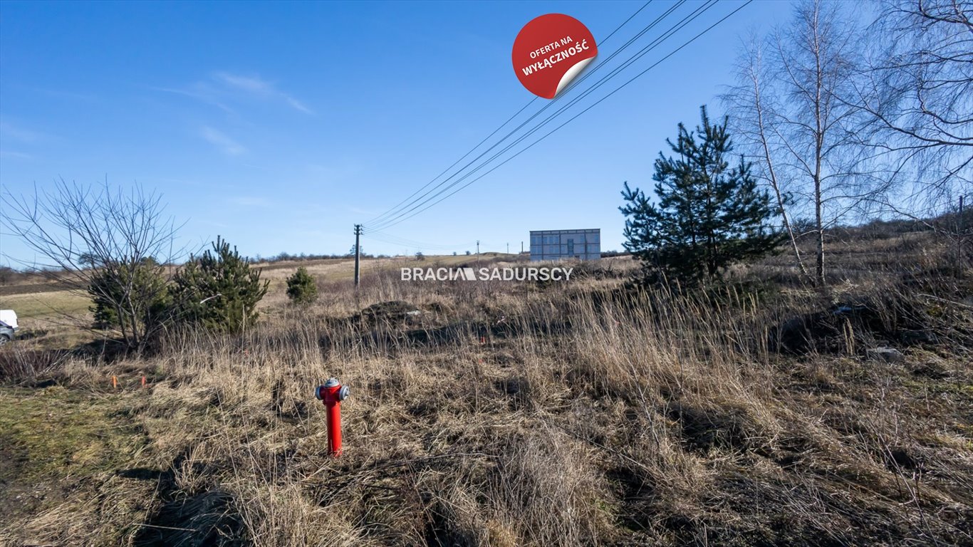 Działka komercyjna na sprzedaż Rudno  7 094m2 Foto 11