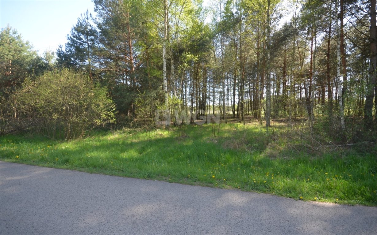 Działka 24,5 ar z lasem i możliwością zabudowy - Szubienice Szubienice  2 450m2 Foto 1