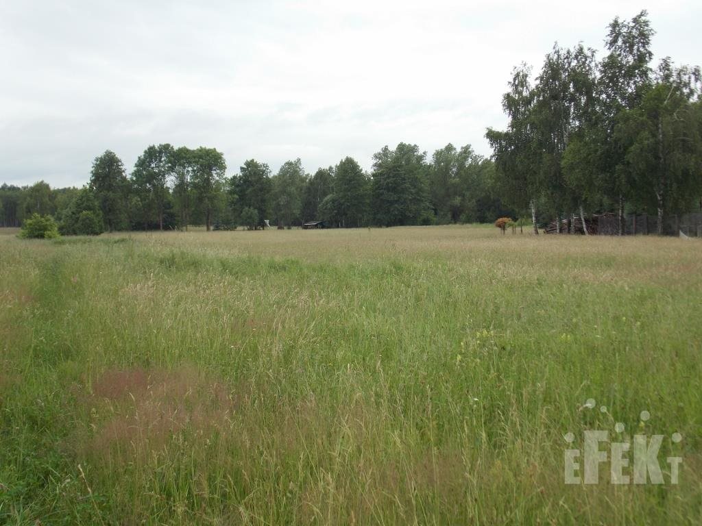 Działka budowlana na sprzedaż Bartniki  1 200m2 Foto 4